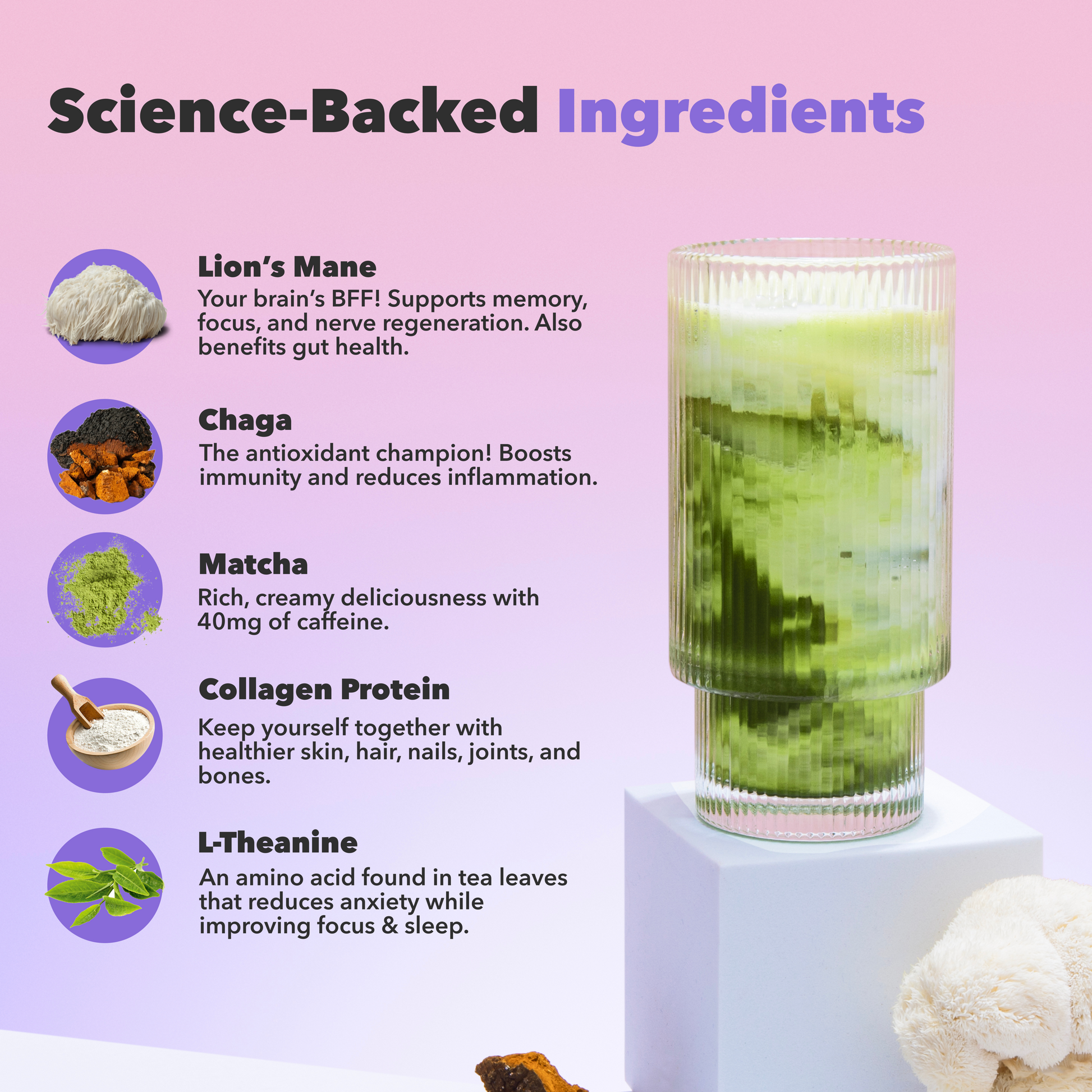 30-servings-mushroom-matcha-g5 custom_resized_386f63f8-0691-449c-9e51-462fed6c0033.png